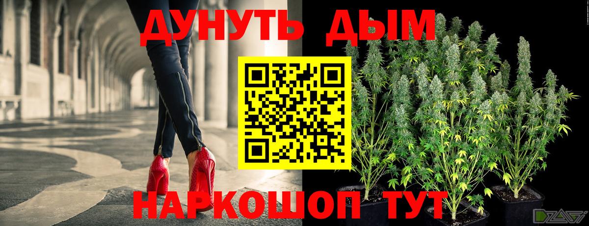 Бошки марихуана SATIVA & INDICA  Конопля планчик  МАРИХУАНА White Widow  Рославль  Вход с VPN 